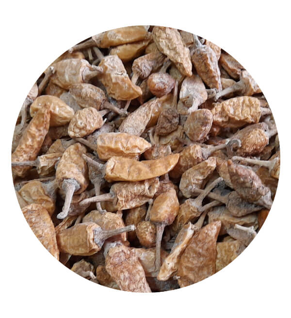 Butter Chilli Vathal High Salt மோர் மிளகாய் வத்தல் உயர் உப்பு