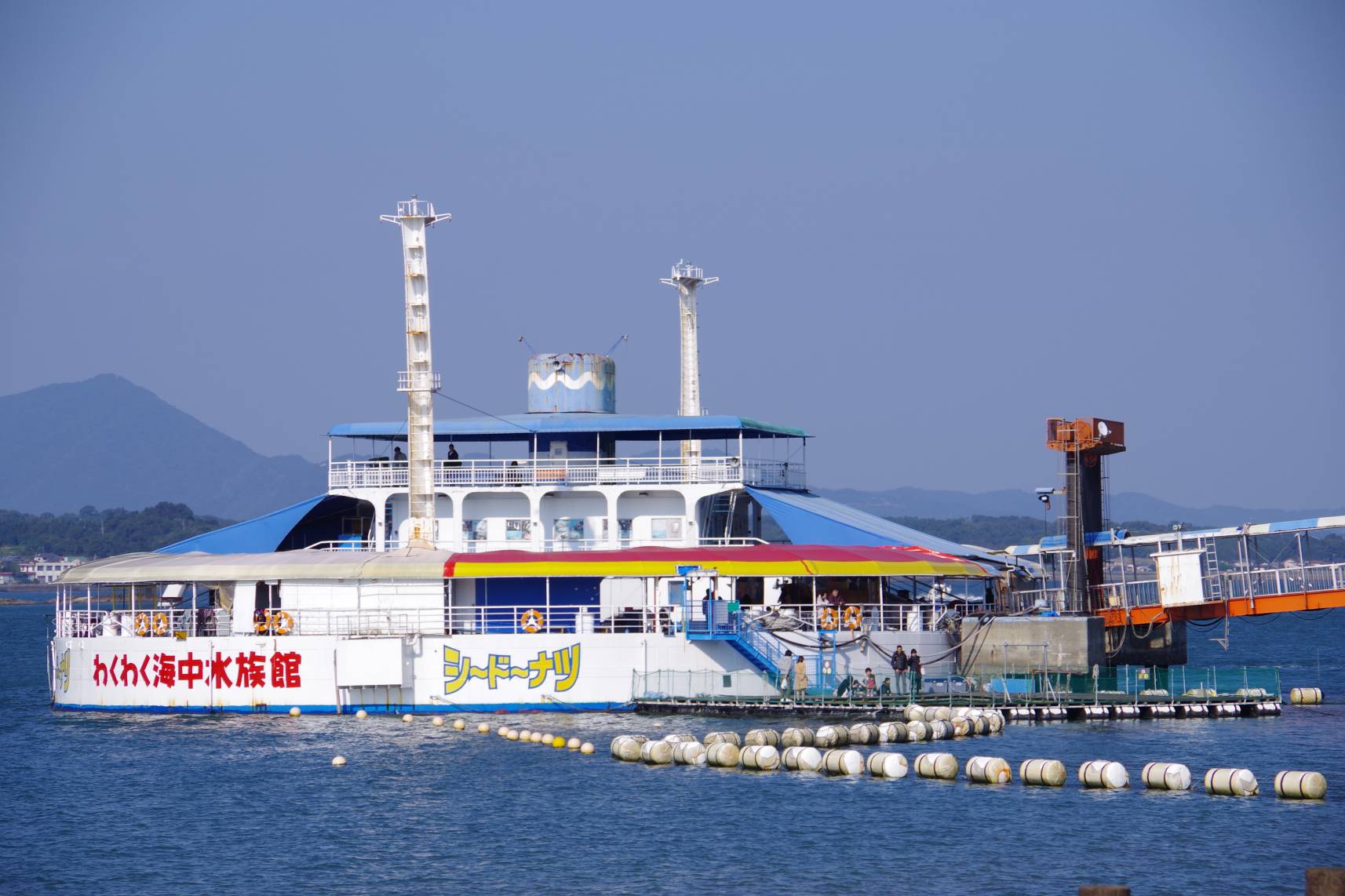 攻めてて面白すぎ！わくわく海中水族館シードーナツのご紹介 Kumarism くまりずむ