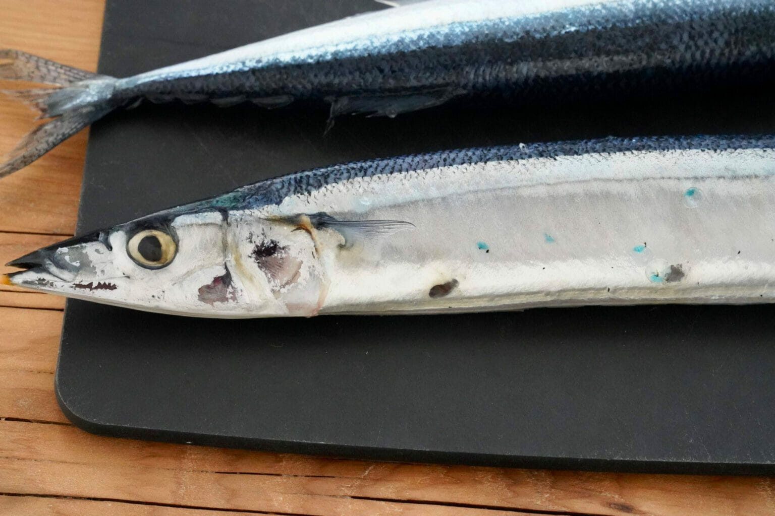 さんま（秋刀魚）のうろこの取り方と洗い方。こすり洗いですっきり！ やまでら くみこ のレシピ