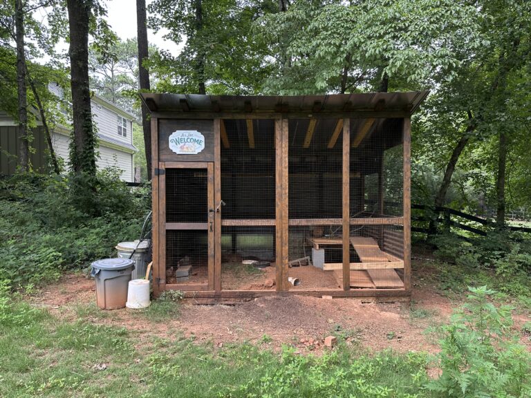 Raising Rabbits In a Colony (Pros and Cons) The Kummer Homestead