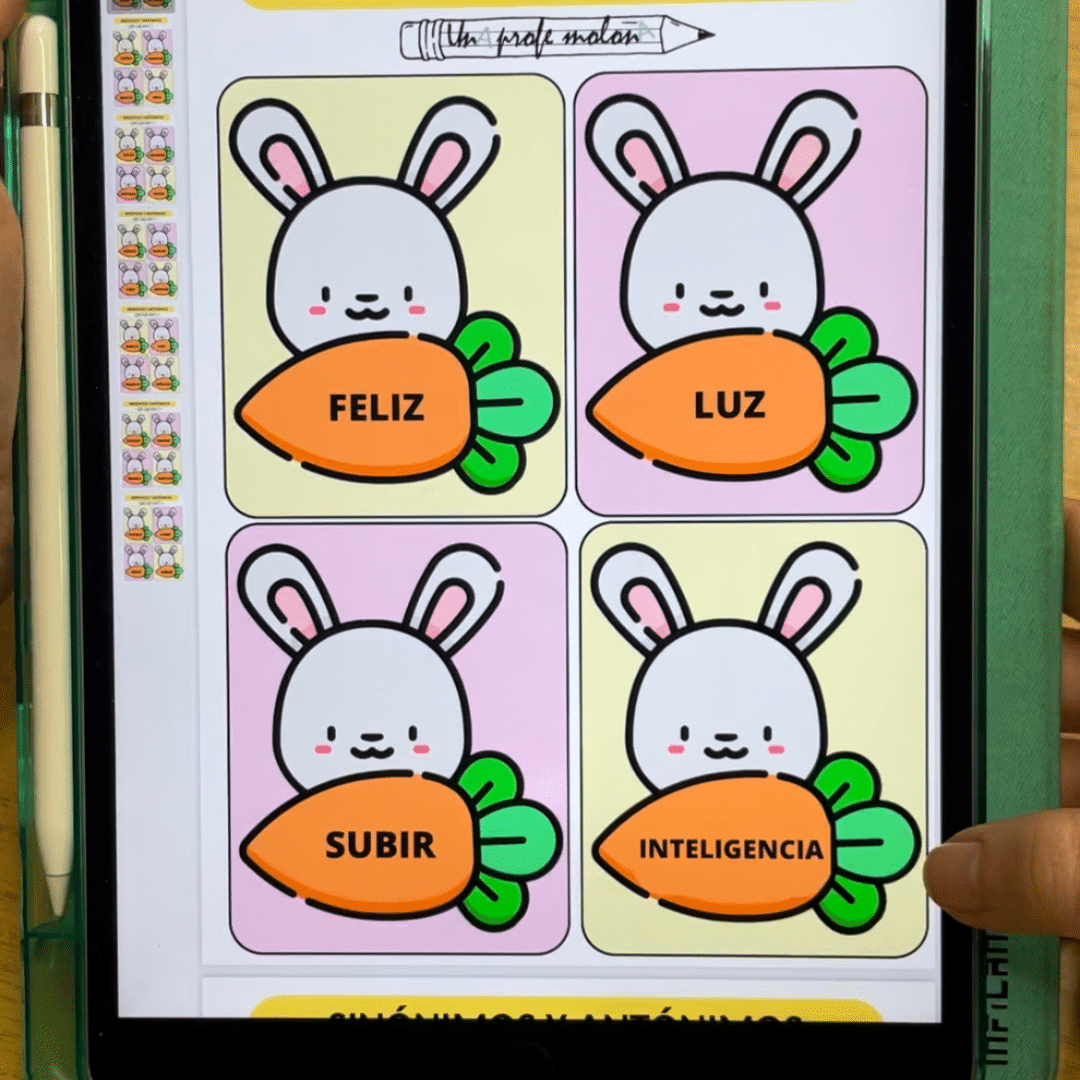 SINÓNIMOS Y ANTÓNIMOS