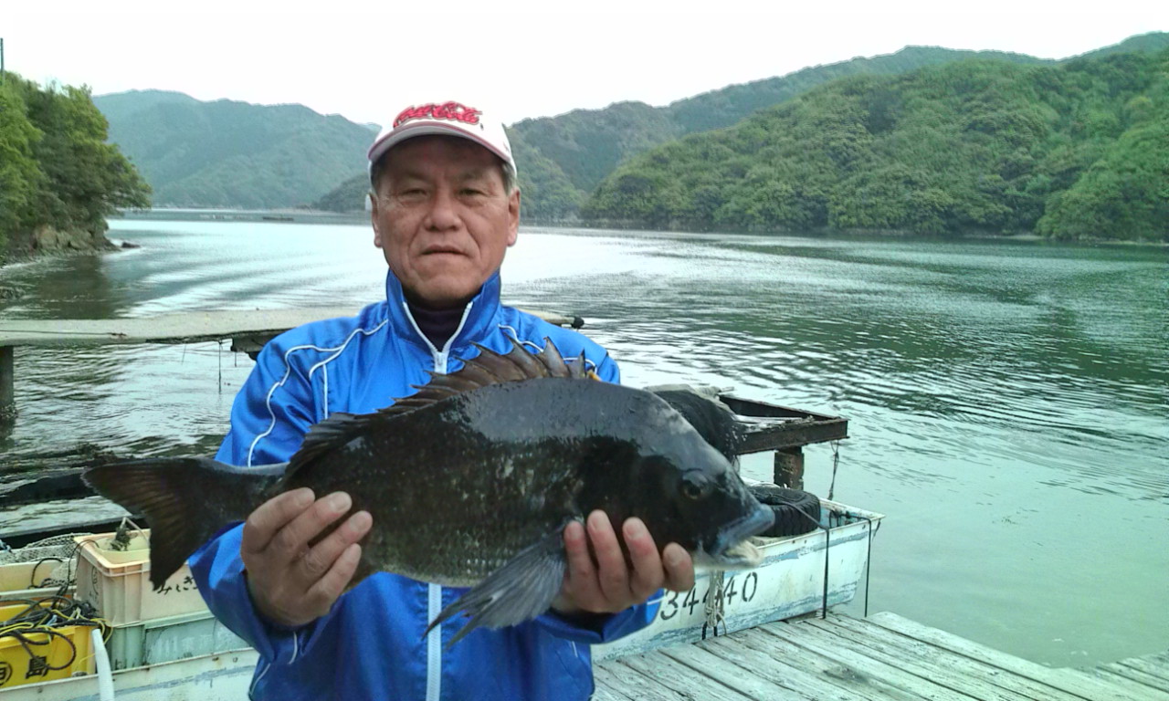 天神筏チヌ57cm 三重県の筏釣り、チヌ釣り、グレ釣り 釣果情報|三重県 南伊勢 古和浦 国丸渡船