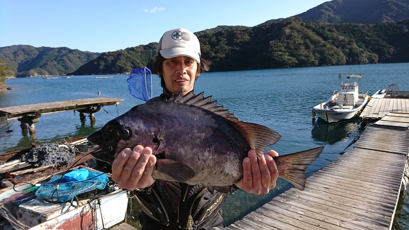 磯 石鯛｜国丸渡船 三重県の筏釣り 磯釣り グレ釣り チヌ釣り アオリイカ釣り