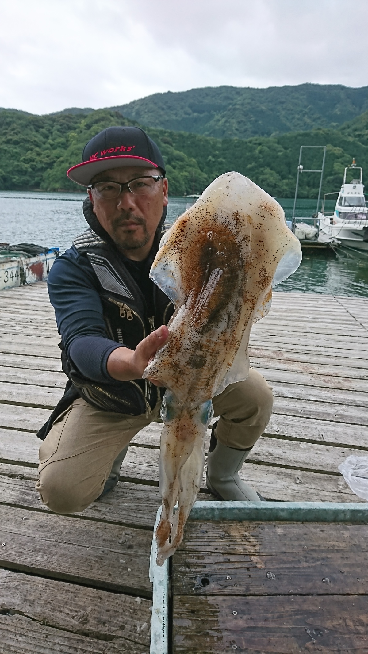 筏アオリイカ2.2kg｜国丸渡船 三重県の筏釣り 磯釣り グレ釣り チヌ釣り アオリイカ釣り
