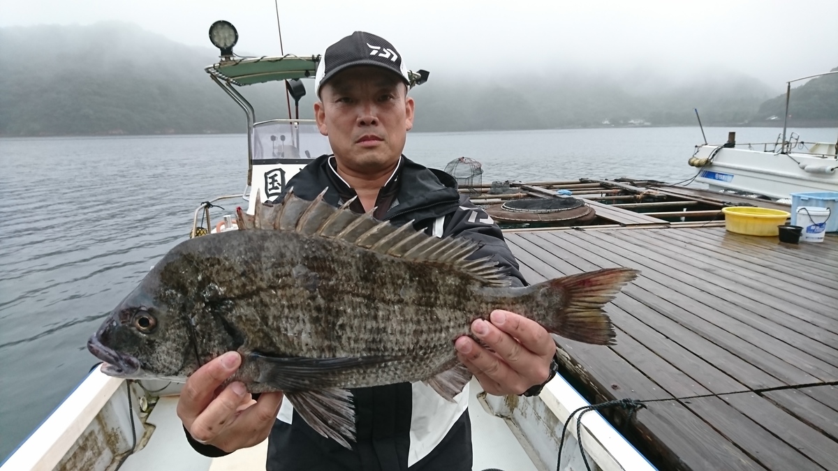 チヌ51㎝｜国丸渡船 三重県の筏釣り 磯釣り グレ釣り チヌ釣り アオリイカ釣り