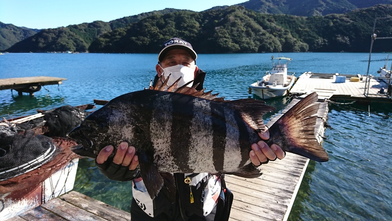 イシダイ65㎝｜国丸渡船 三重県の筏釣り 磯釣り グレ釣り チヌ釣り アオリイカ釣り