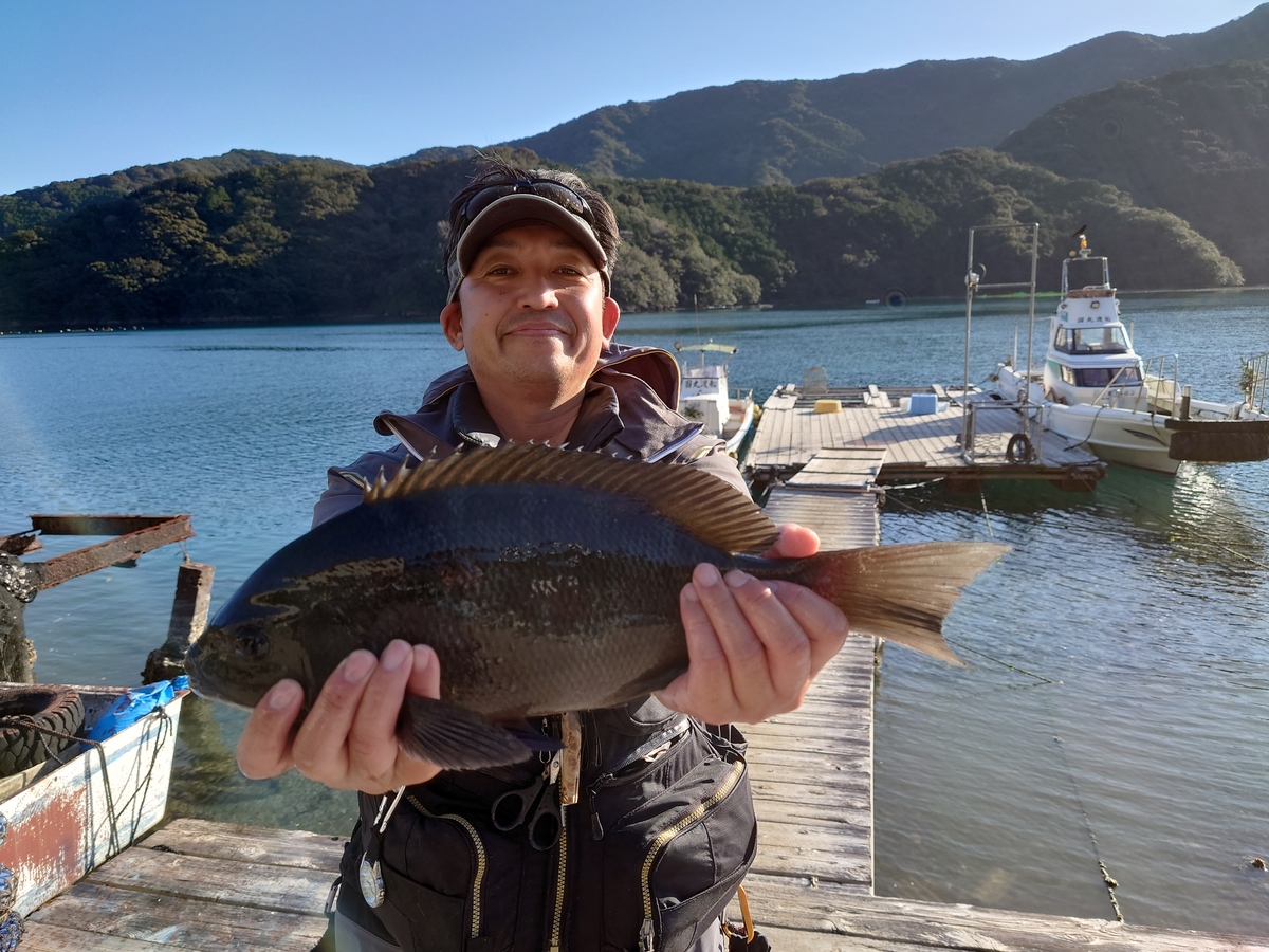 グレ44㎝｜国丸渡船 三重県の筏釣り 磯釣り グレ釣り チヌ釣り アオリイカ釣り