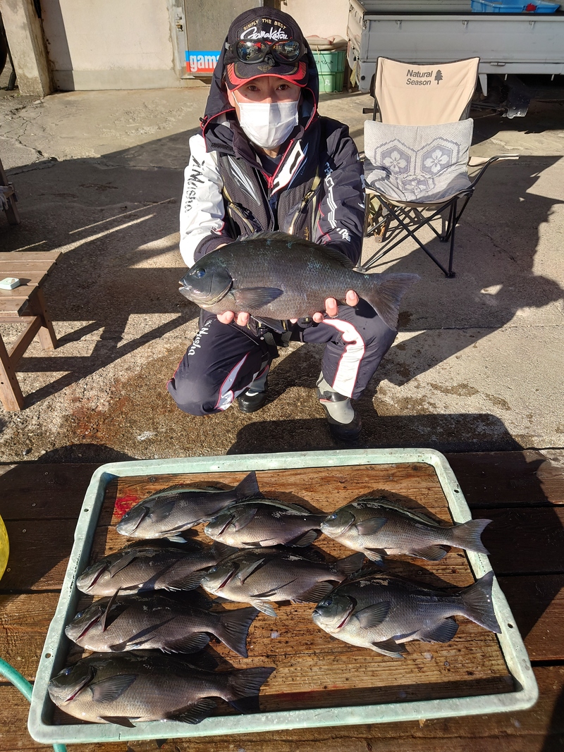 グレ46㎝｜国丸渡船 三重県の筏釣り 磯釣り グレ釣り チヌ釣り アオリイカ釣り