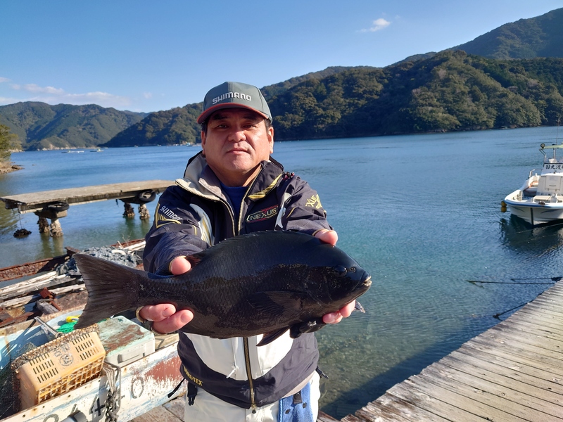 グレ41㎝｜国丸渡船 三重県の筏釣り 磯釣り グレ釣り チヌ釣り アオリイカ釣り
