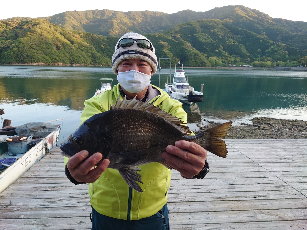チヌ47㎝｜国丸渡船 三重県の筏釣り 磯釣り グレ釣り チヌ釣り アオリイカ釣り