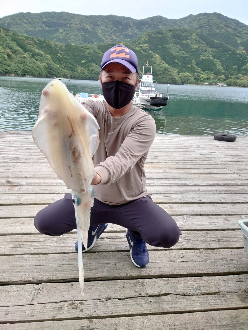 筏アオリイカ｜国丸渡船 三重県の筏釣り 磯釣り グレ釣り チヌ釣り アオリイカ釣り