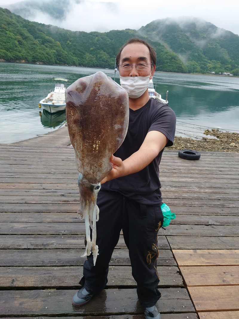 筏アオリイカ｜国丸渡船 三重県の筏釣り 磯釣り グレ釣り チヌ釣り アオリイカ釣り