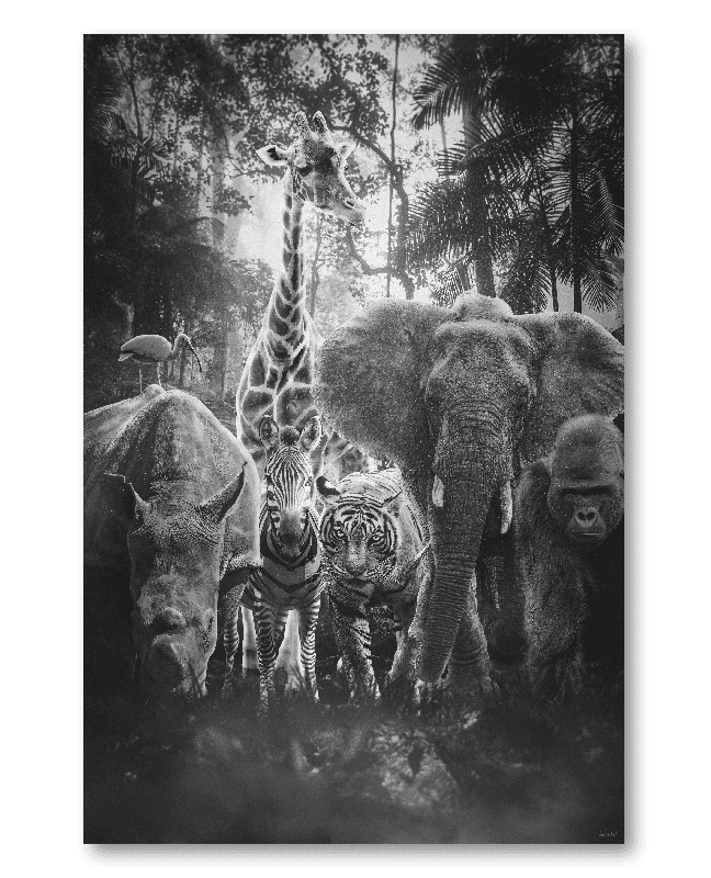 Schilderij Dieren In De Jungle - Zwart Wit - Kunstchef