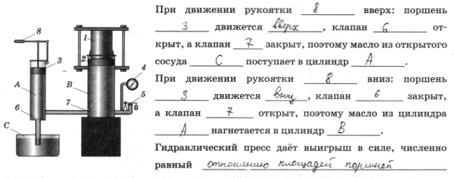 Давление газов и жидкостей