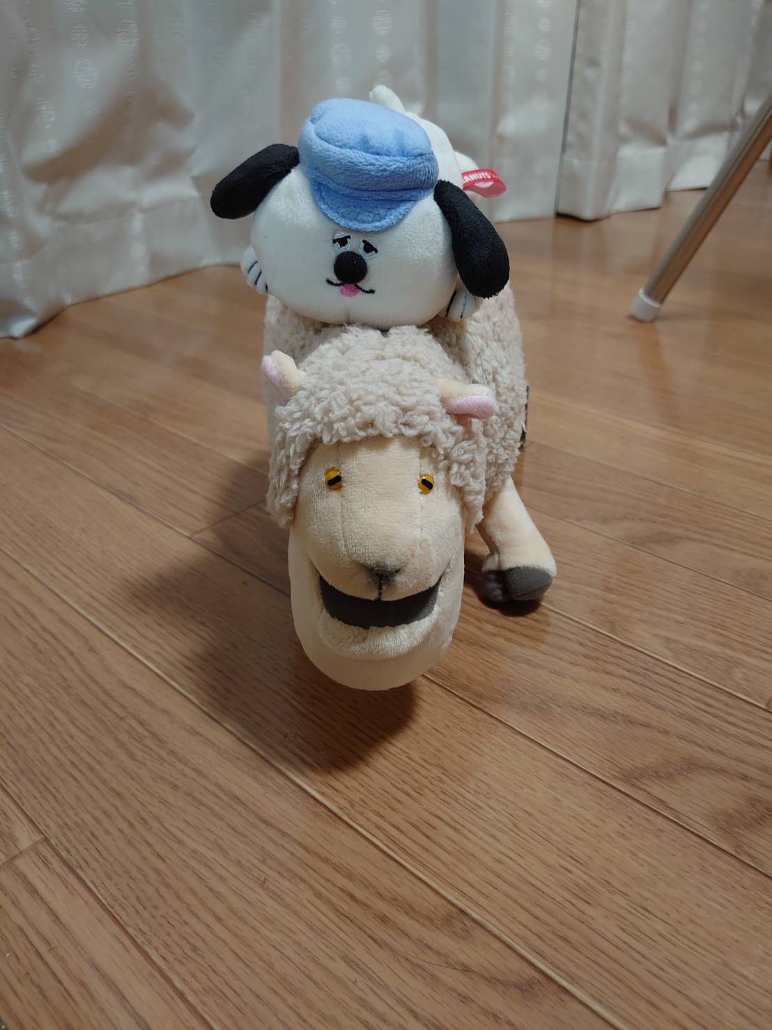 我が家のペット（ぬいぐるみ）