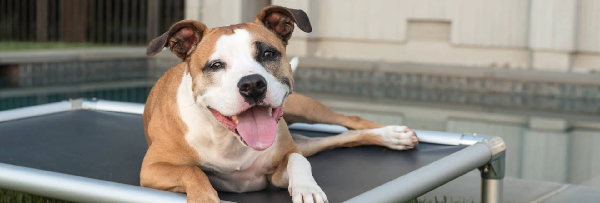 Replacement Parts Kuranda Dog Beds