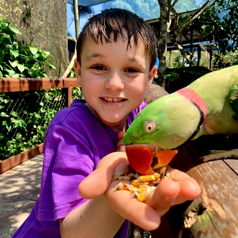 Kuranda Attractions. Award Winning. World Class. So Much To See & Do.