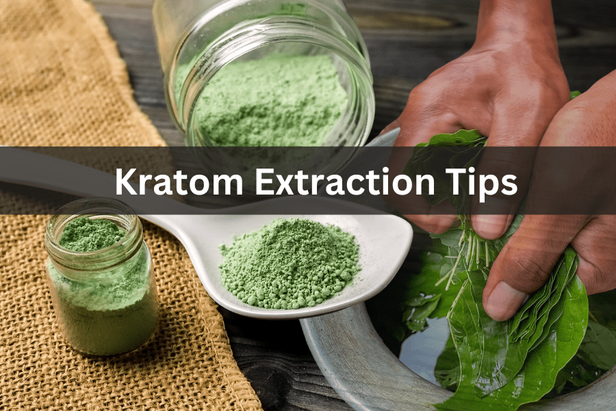 Top 5 BeginnerFriendly Kratom Extraction Tips to Perform Like a Pro