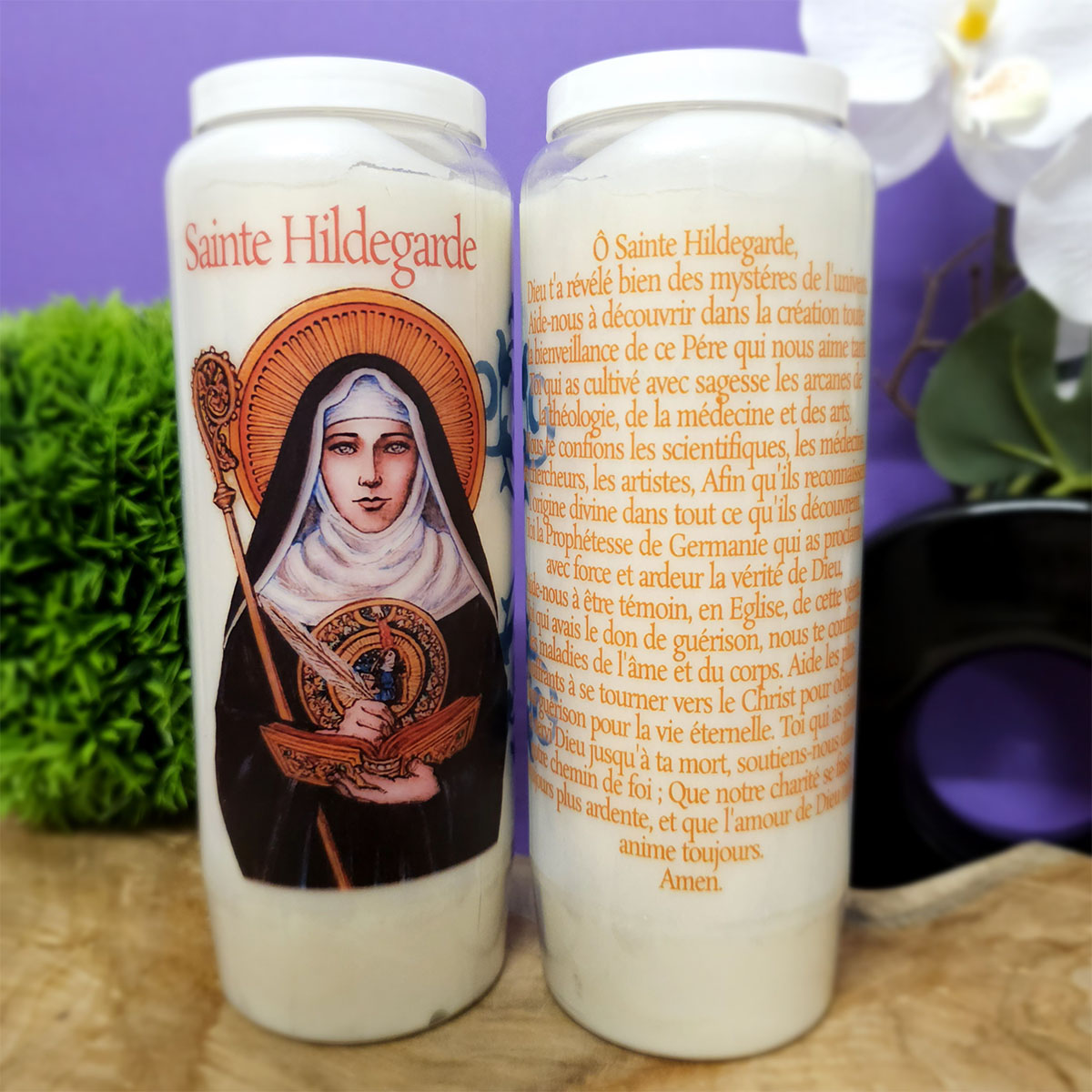 Neuvaine à Sainte Hildegarde Kurious Apprentice