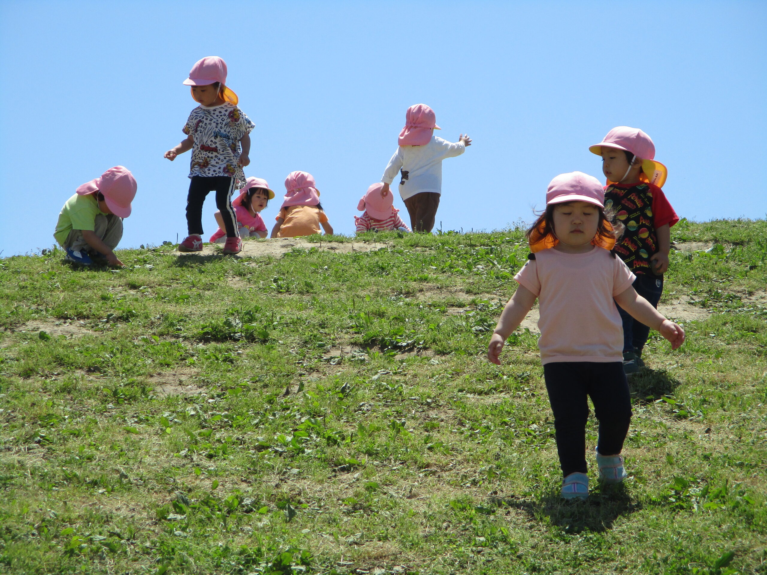 お外で遊ぶの楽しいな！ ブログ くろじょうこども園 令和2年4月より長岡市立黒条保育園から民営化・保育園