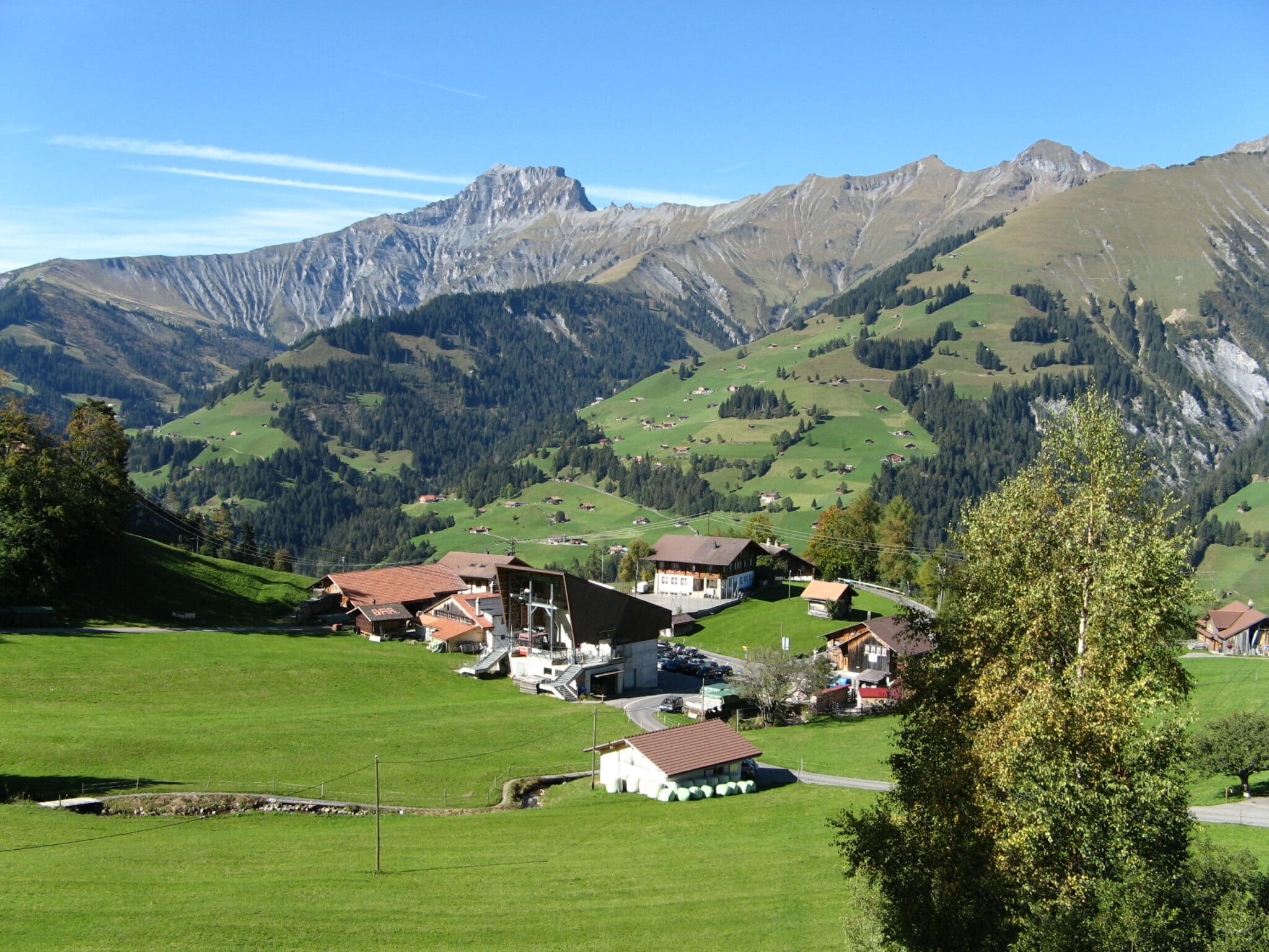 Chalet Weidli im Elsigbach KursNatur.ch