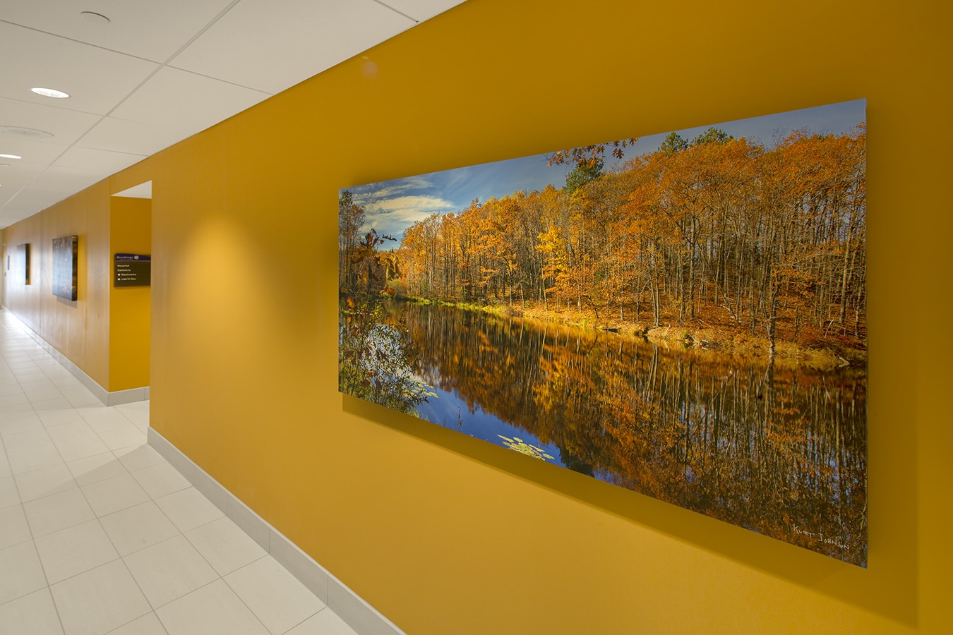 Using Agates to Add Sophistication to Healthcare Environments Kurt