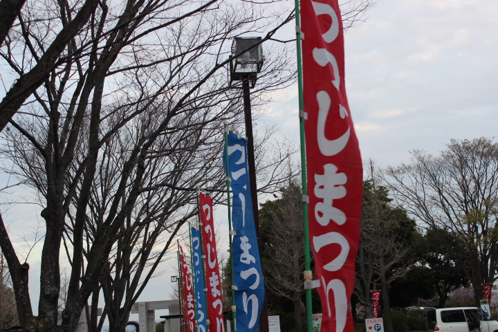 第60回 4 5 5 5まで久留米市つつじ祭りが百年公園で開催されるぞ お散歩くるめ