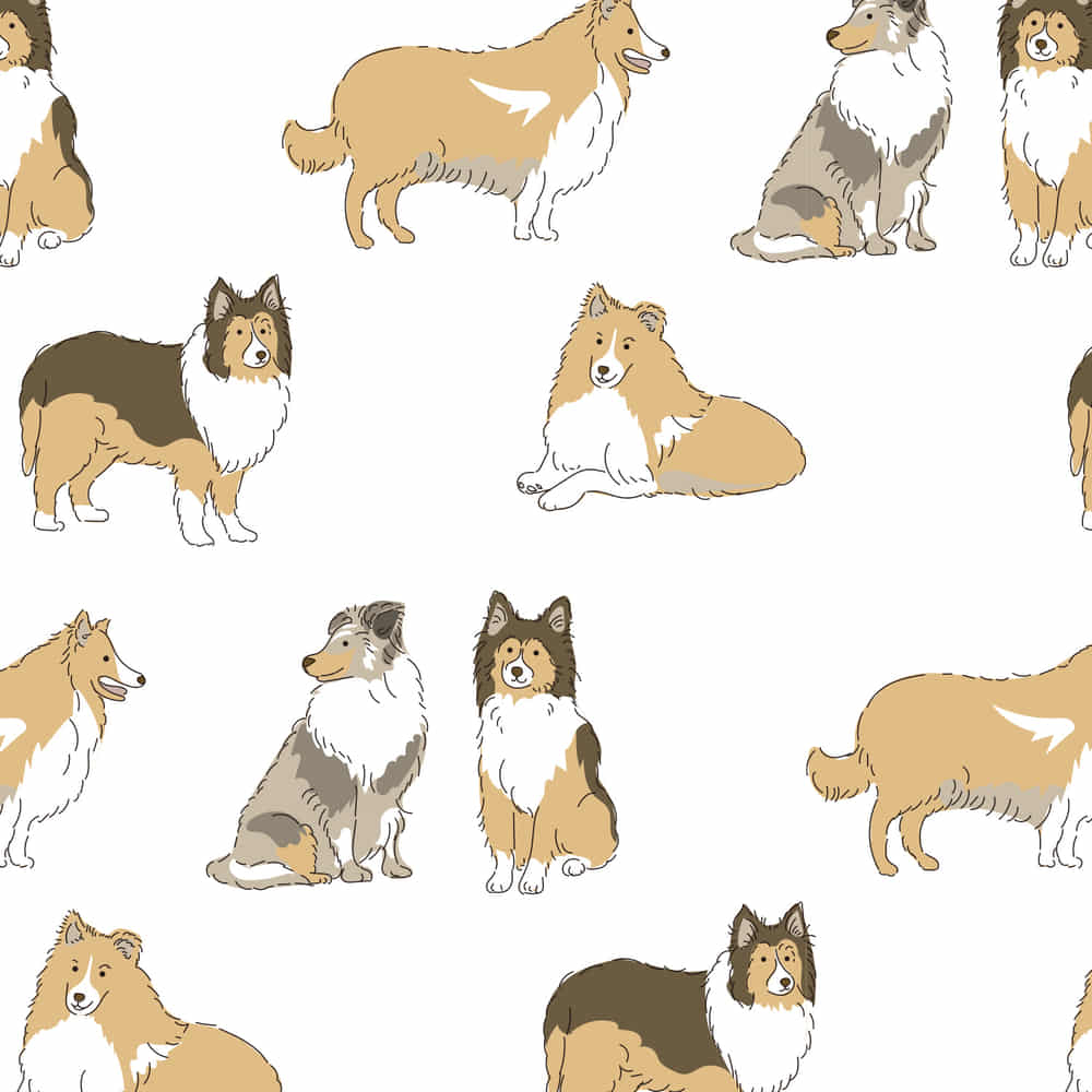 シェルティ シンプルでかわいい犬のイラストのイラスト素材 [84356536] - Pixta たくさんのシェルティー（シェットランド・シープドッグ）のラッピング素材 | 無料包装紙イラストの「くるりえ」