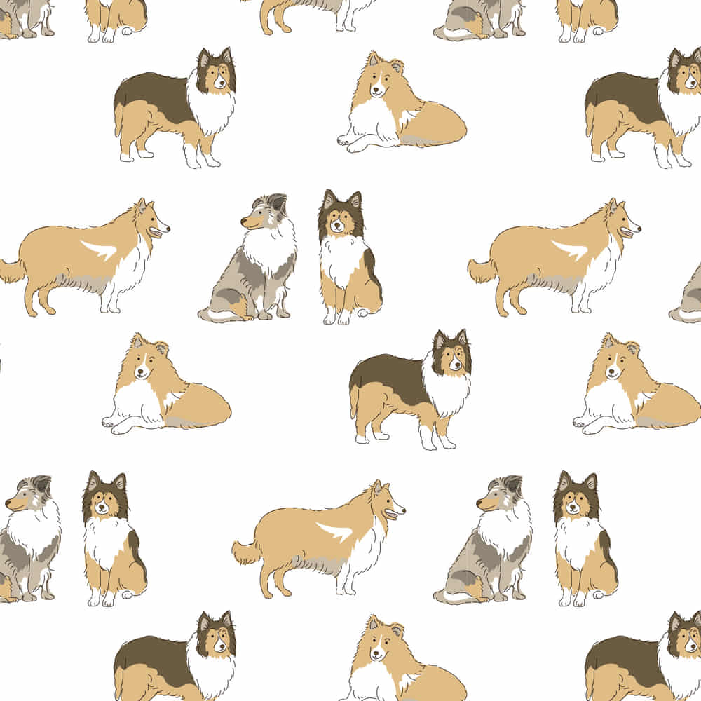 シェルティ シンプルでかわいい犬のイラストのイラスト素材 [84356536] - Pixta もっとたくさんのシェルティー（シェットランド・シープドッグ）のラッピング素材 | 無料包装紙イラストの「くるりえ」