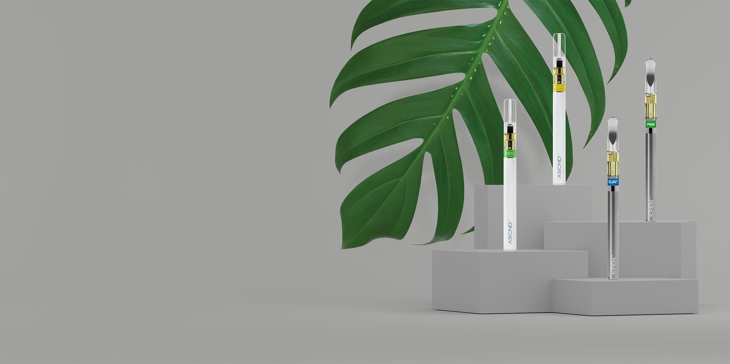 About Us Kurvana The highest standard.