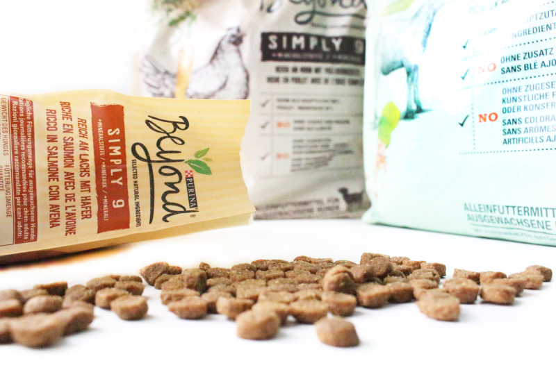 Purina Beyond Hundefutter im Test kurzvor Produkttests