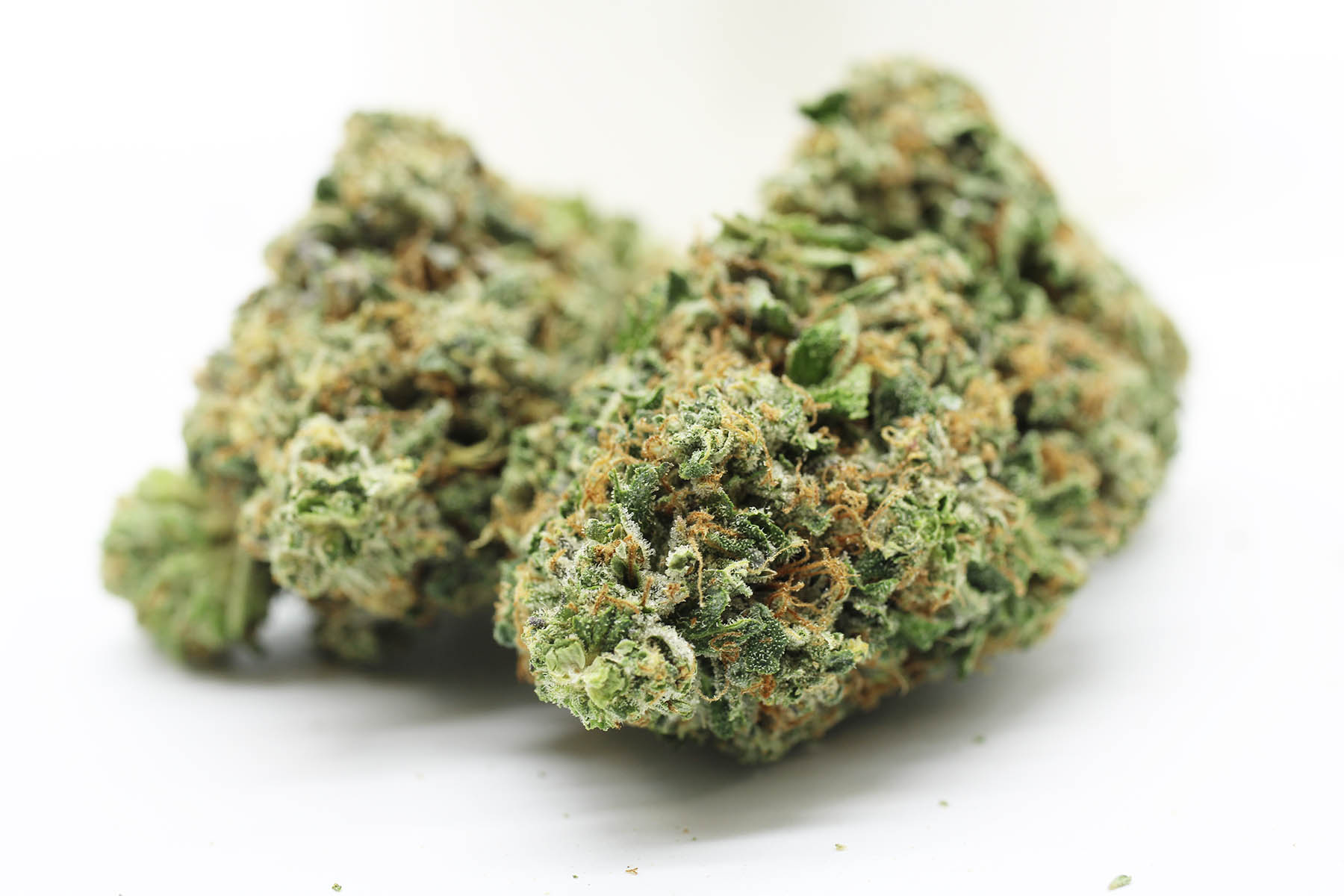 Jet Fuel (AAA+) Kush Capital