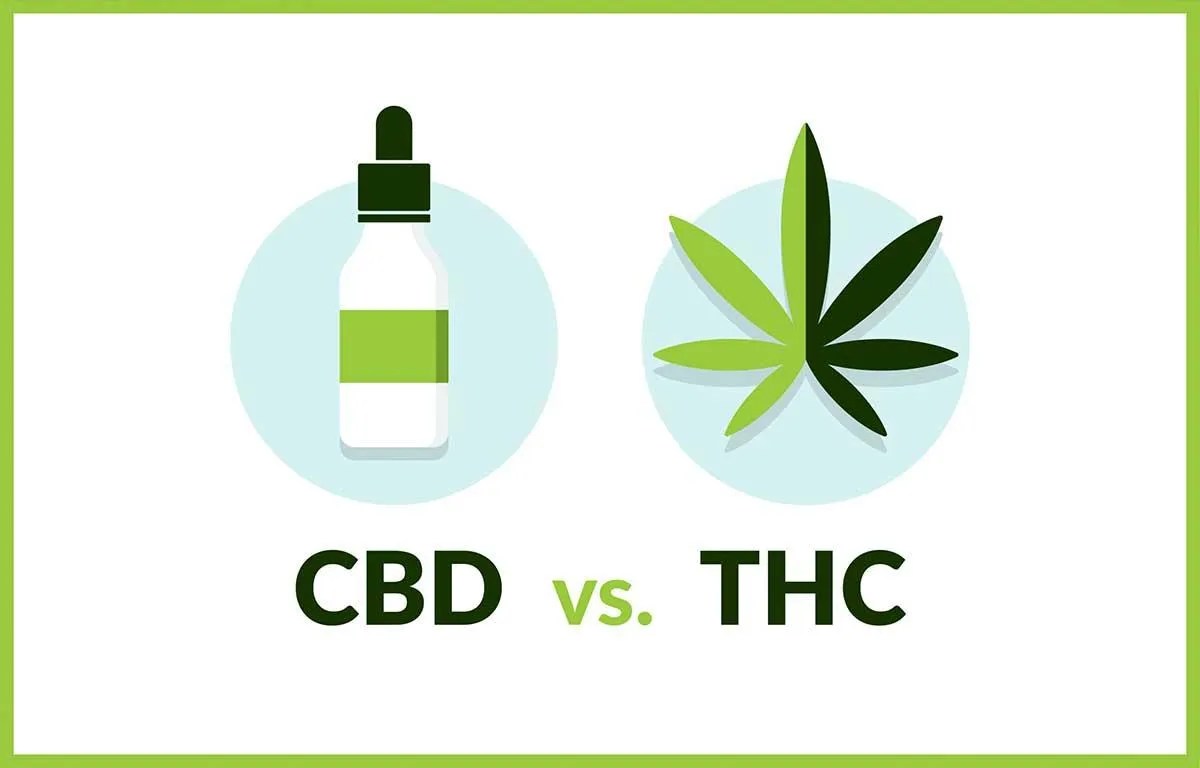 CBD vs THC Key Differences & Which is More Safe and Effective