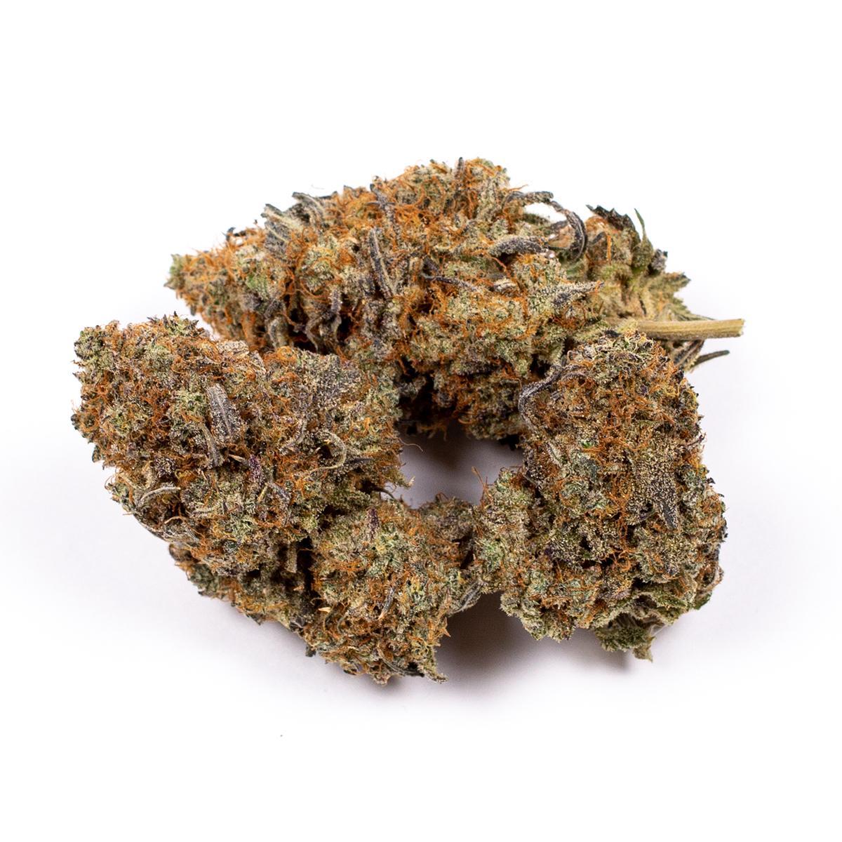 Jet Fuel Strain The FastActing Solution for Stress and Anxiety