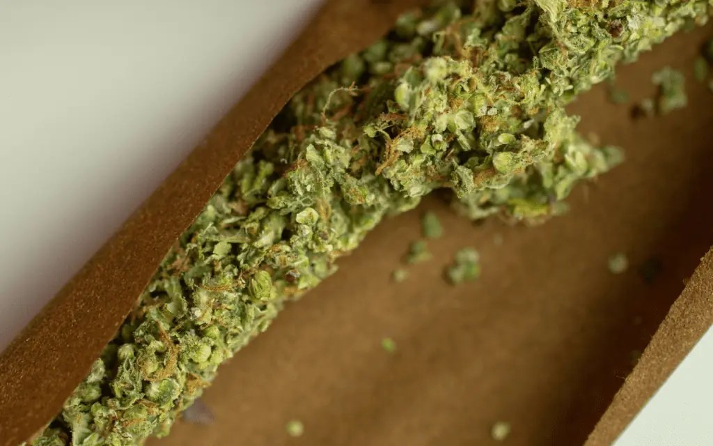 What Is The Difference Between Blunts And Blunt Wraps? Kushy Dreams