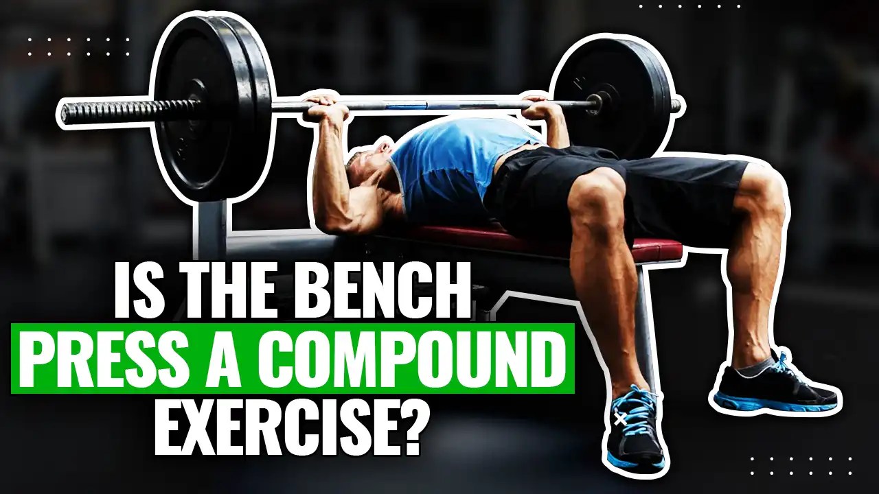What Type Of Exercise Is The Bench Press?