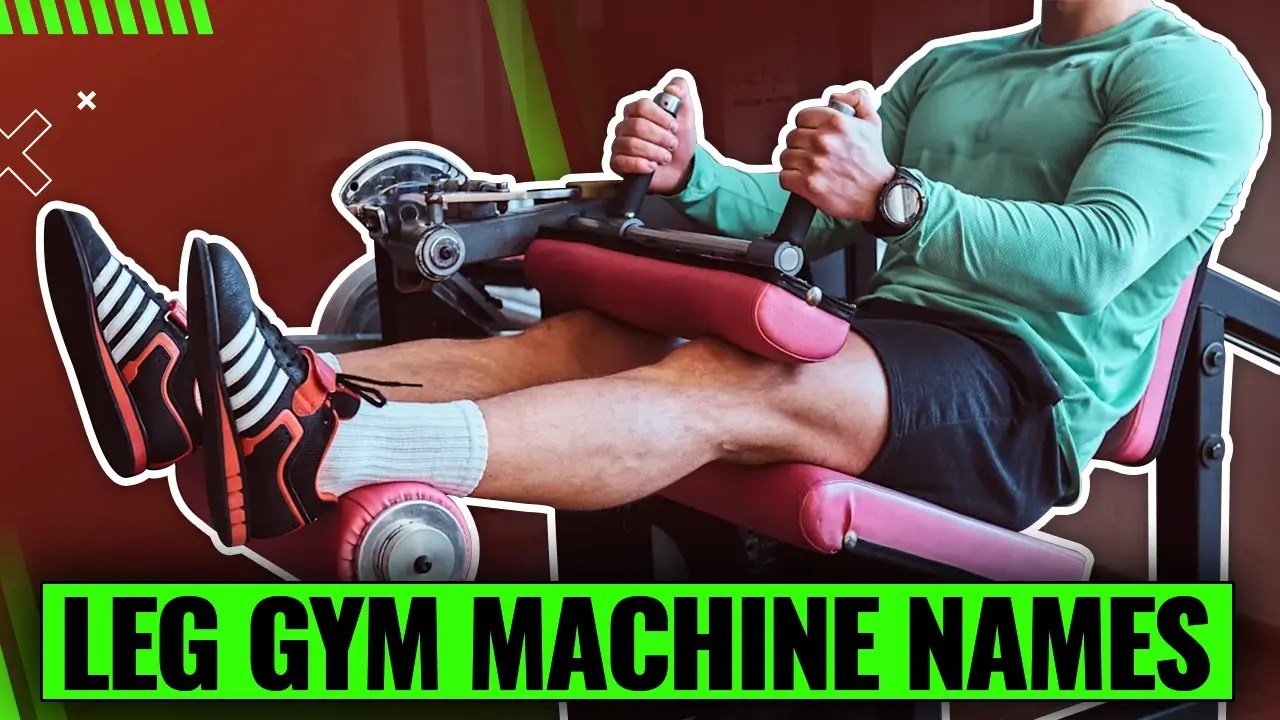 17 Leg Gym Machine Names Uncovered