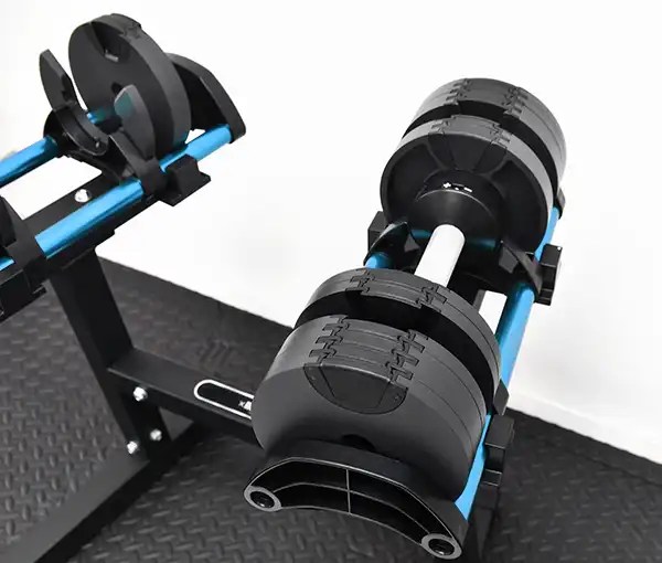 The Best Guide To How Much Do Dumbbells Cost In 2024