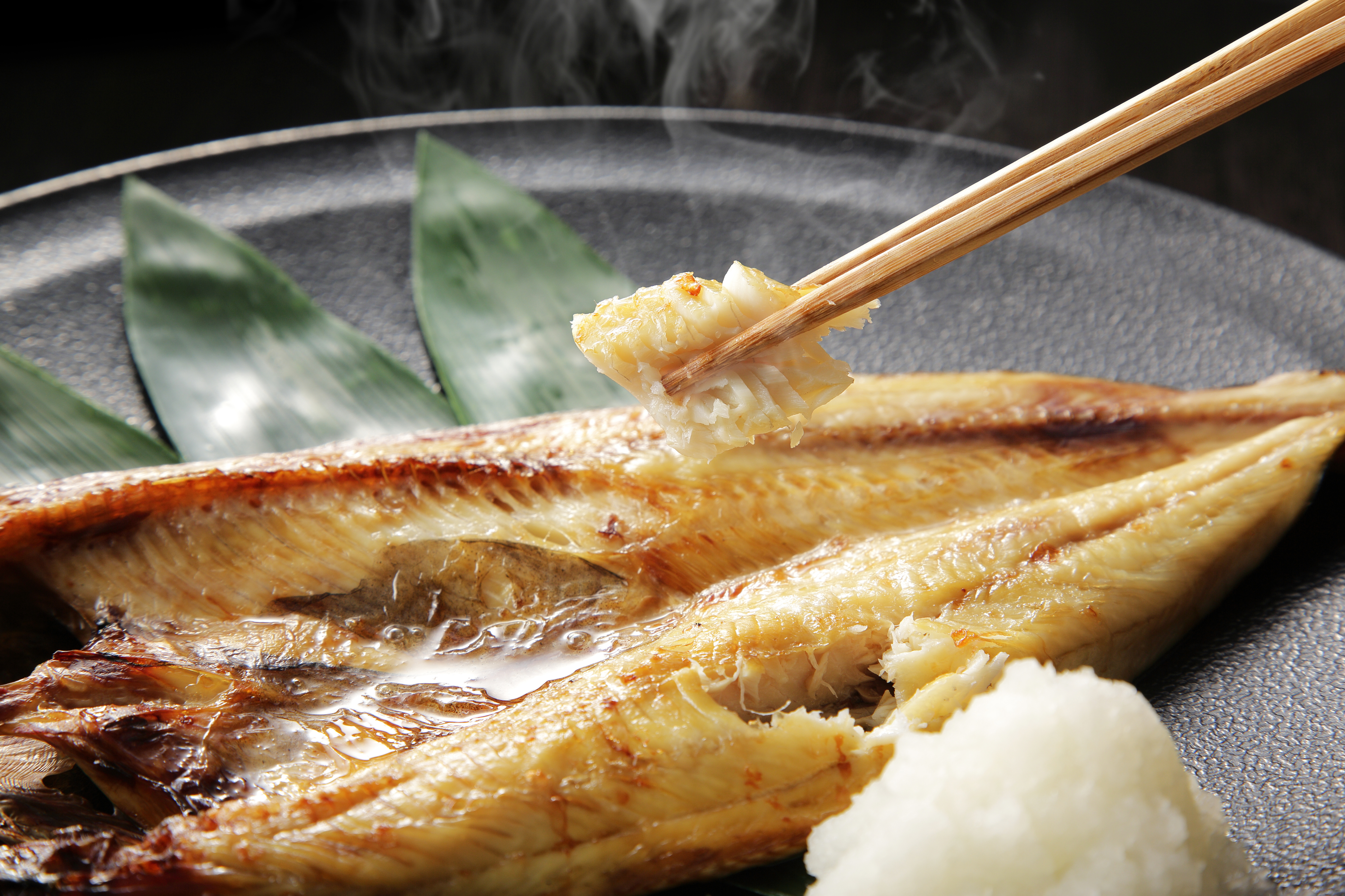サヨリ 桑田食品