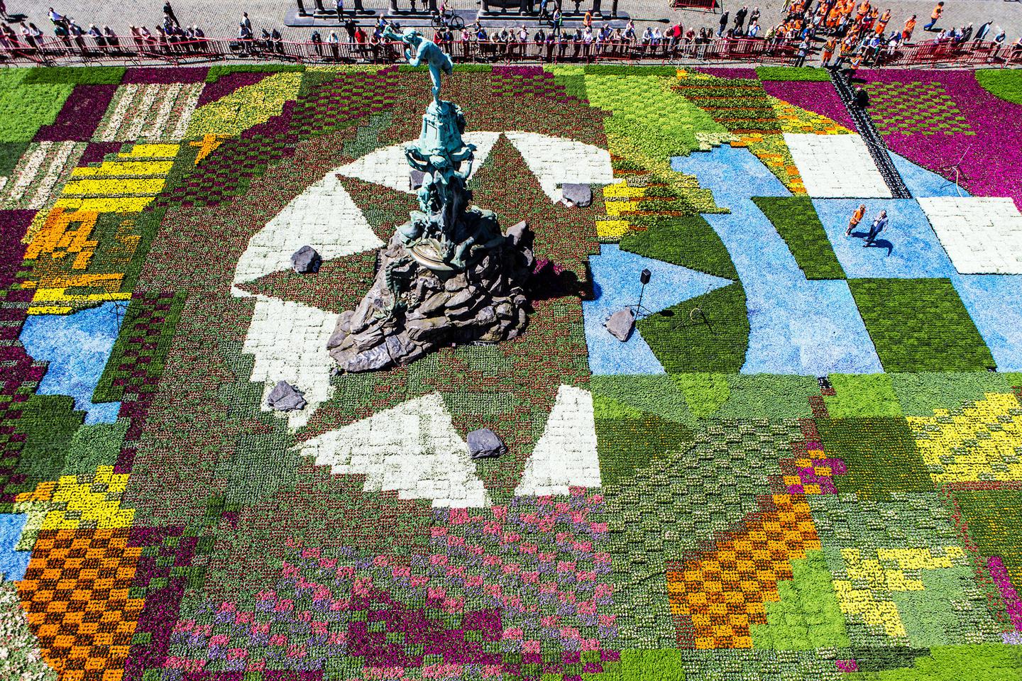 A flower carpet for Antwerp KVAB