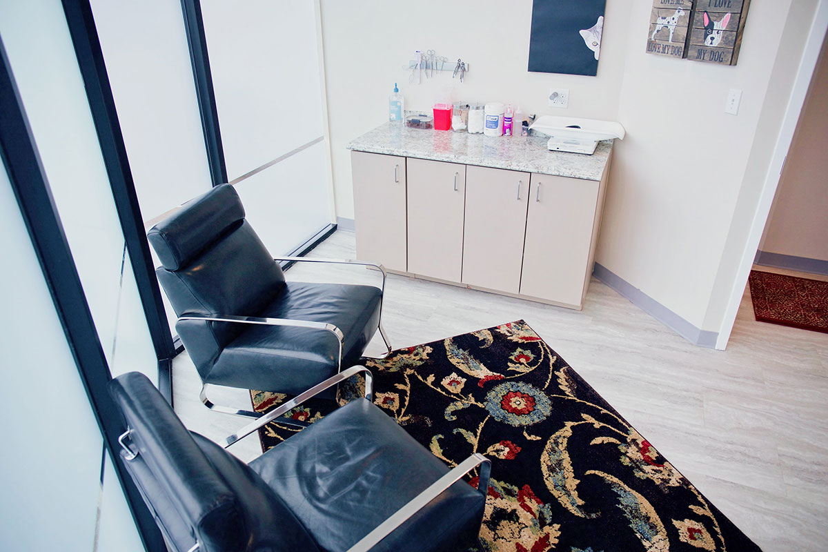 About Kingsview Animal Hospital