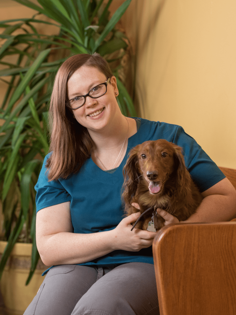 Our Veterinary Health Care Team