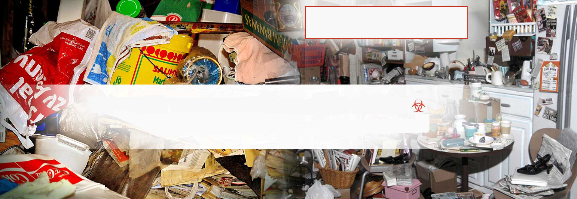 1 Hoarding Experts Hoarding Cleanup KitchenerWaterloo