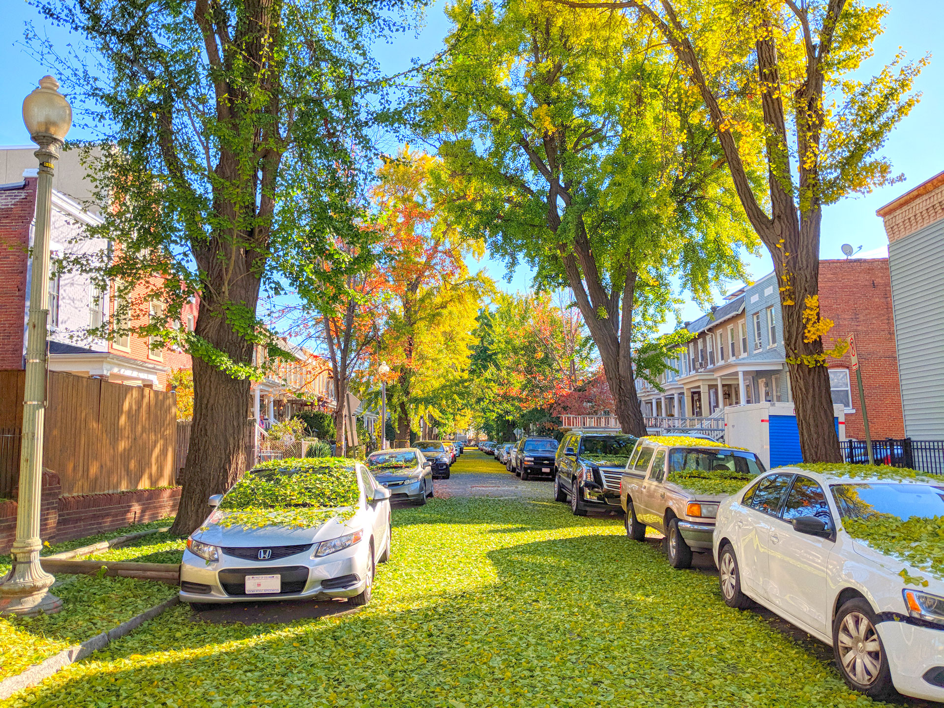 Christy Kwan for ANC 6C01 Elect Christy Kwan for ANC Commissioner in