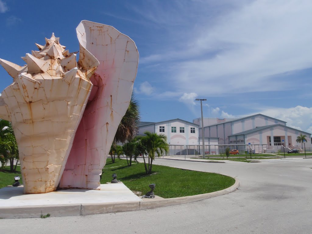 Key West High School’s Super Successful Students The Snapper