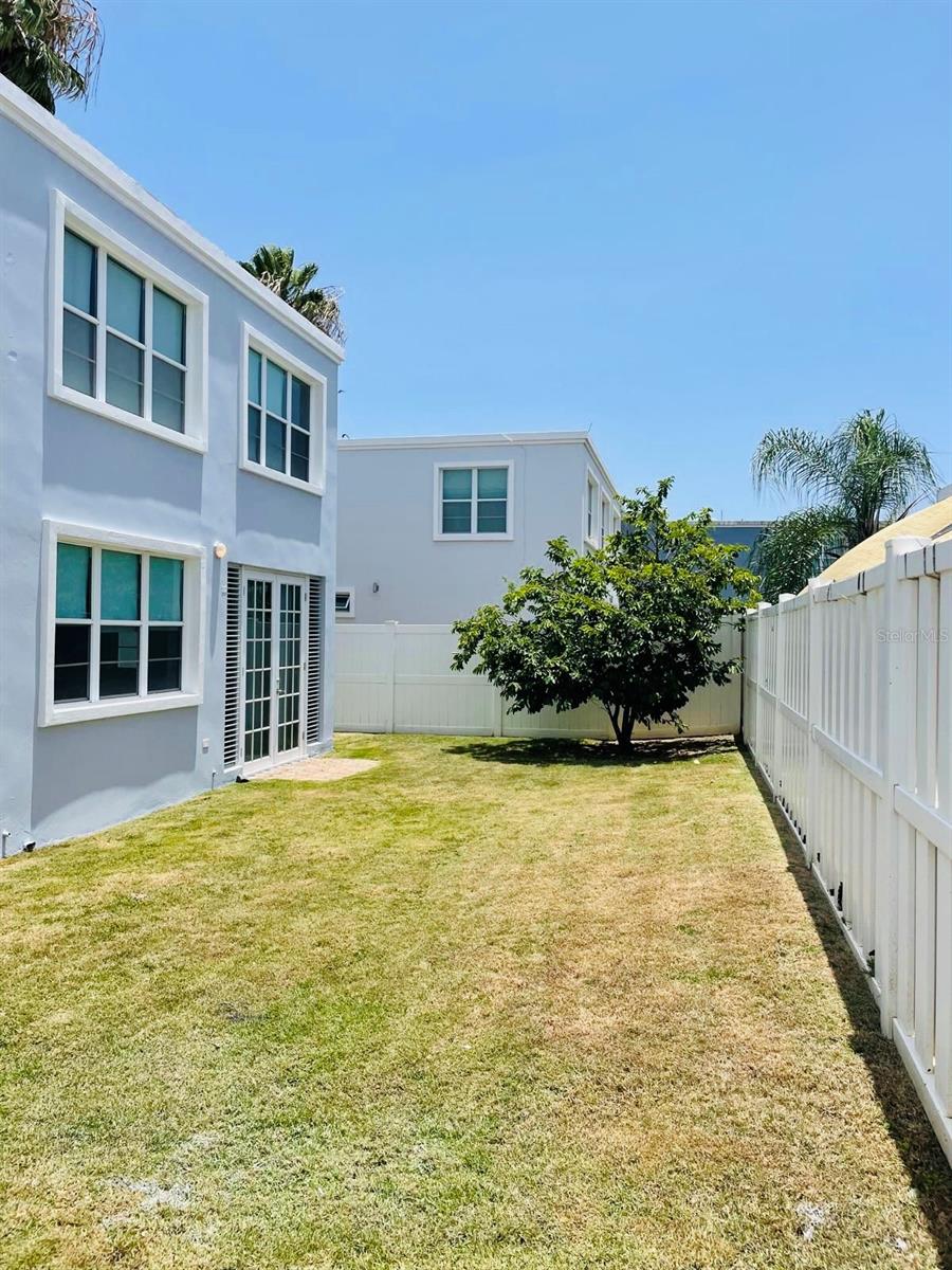 LAS PALMAS DE CERRO GORDO