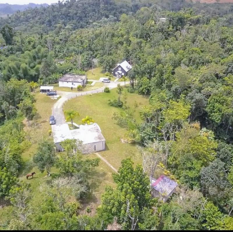 BO. MAMEYES, CASA EN UTUADO, PUERTO RICO