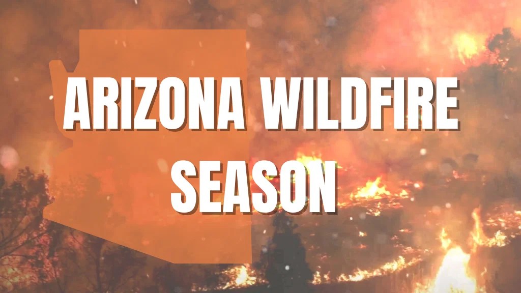 2 wildfires in Arizona force evacuations and burn tens of