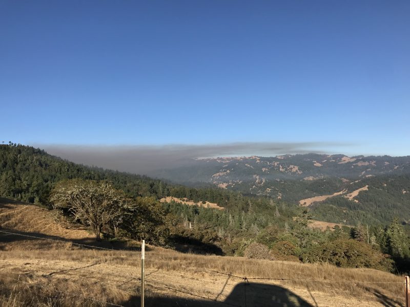 [UPDATE 1210 p.m.] School Bus Driver Calls in Fire in Alderpoint Area