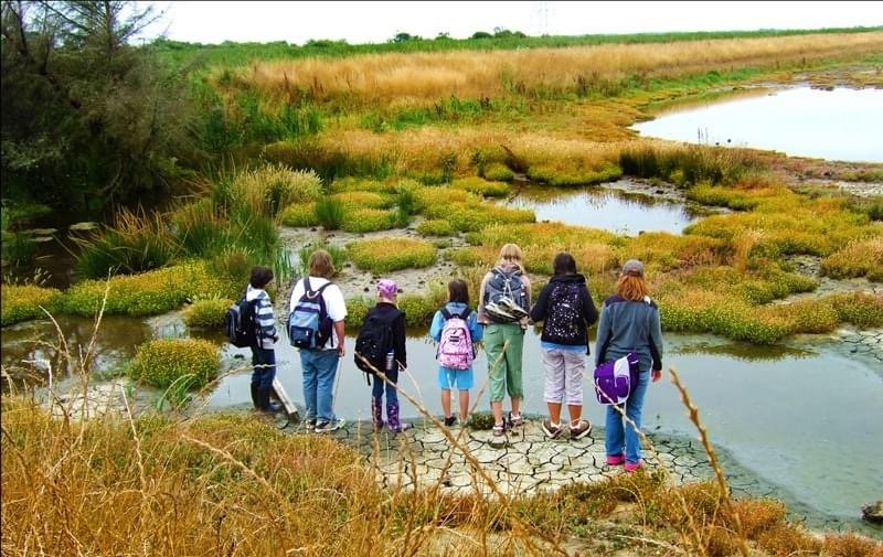 Arcata Recreation Summer Camp Enrollment Opens on Wednesday, June 3